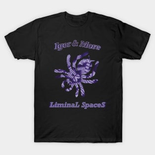 Igor & More Tarantula Liminal Stairs Purple T-Shirt